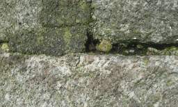 sandymount tower-12060.jpg